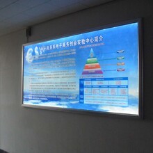 廈門喵君文化傳媒 引領新時代廣告傳媒的創新力量